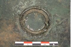 Foto von Bronzebreitrandfußschale (NHMW-PRAE-026038)